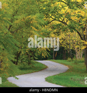 Walnut Trees In Autumnal Park, Large Detailed Vertical Landscaped Autumn Path Scene, Twisting Tarmac Walkway, Winding Asphalt Stock Photo