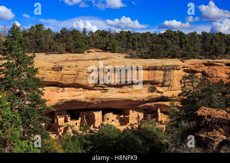 A view of the Spruce Tree House, the third largest and best preserved cliff dwelling in Mesa Verde National Park Colorado USA Stock Photo