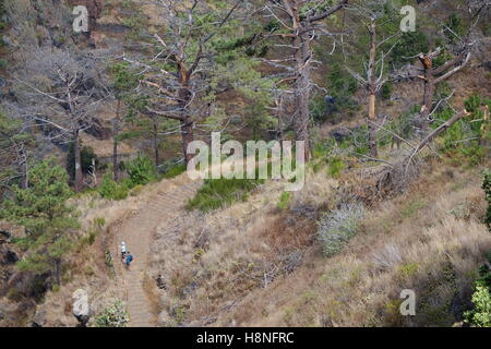 Tourists walking down a steep path towards the shoreline near Prazeres, Madeira, Portugal Stock Photo