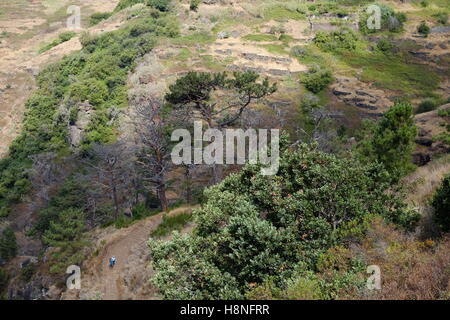 Tourists walking down a steep path towards the shoreline near Prazeres, Madeira, Portugal Stock Photo