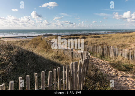 Path in the dunes towards the beach Stock Photo