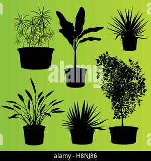 House plants in flower pots set isolated vector background Stock Vector