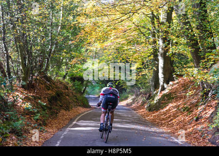 Cycling on the road going through Box Hill, Surrey, England, UK Stock Photo