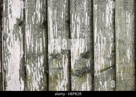 Wood panel wall texture grunge Stock Photo