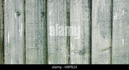 Wood panel wall texture grunge green panoramic hardwood background texture vintage unique material plank pine Stock Photo