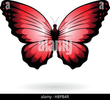 Vector Illustration of a Colorful Butterfly isolated on a white background Stock Vector