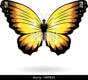 Vector Illustration of a Colorful Butterfly isolated on a white background Stock Vector