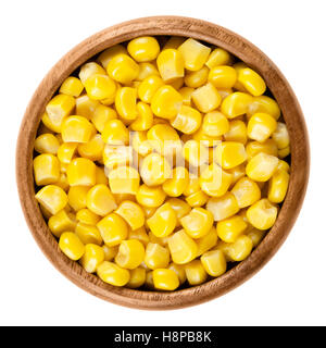 Sweet corn kernels in wooden bowl over white. Cooked canned yellow vegetable maize, Zea mays, also called sugar or pole corn. Stock Photo
