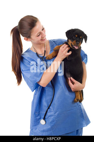 Brunette veterinary with a rottweiler puppy dog isolated on white background Stock Photo