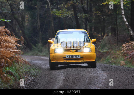 A rally car on the Crabtree stage of the 2016 Wyedean Rally in the Forest of Dean, UK. Stock Photo