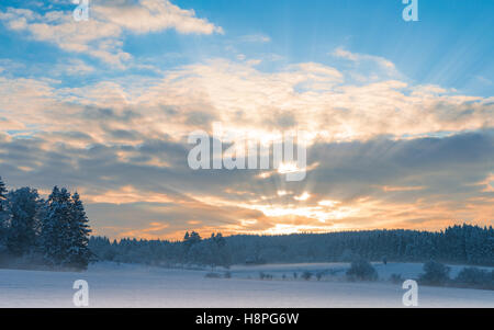 Frosty early morning winter panoramic scenery with rising sun sunbeam over frozen snowfield and snow-covered forest Stock Photo