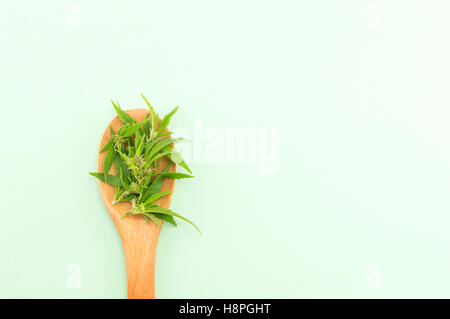 Marijuana plant in  a wooden spoon on gren background Stock Photo