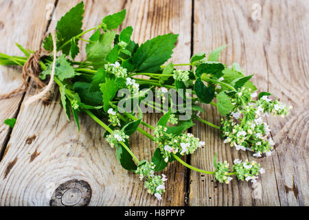 Mint Flowers on Wooden Rustik Background Stock Photo
