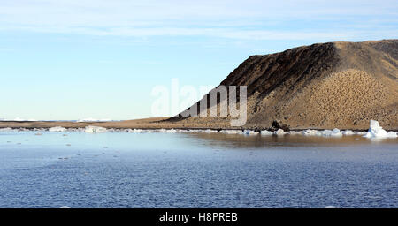 The cliffs of Paulet Island are dotted with nesting  Antarctic Shag (Phalacrocorax bransfieldensis).  Antarctic Peninsula Stock Photo