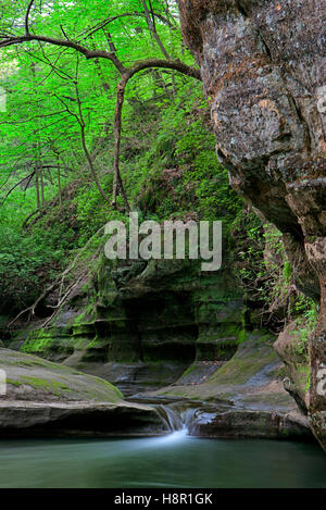 Gently flowing out of the Illinois Canyon at Starved Rock State Park, a stream falls down into a pool of water. Stock Photo