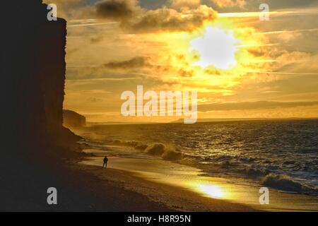West Bay, Dorset, UK. 16th Nov, 2016. UK weather. An early morning dog walker enjoys the sunrise on West Bay beach on what promises to be a sunny day in the south west. Credit:  Tom Corban/Alamy Live News Stock Photo