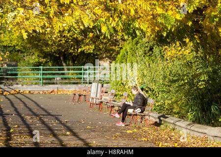 London, UK. 16th November 2016. People enjoy the autumn sunshine Bishop's Park Putney Credit:  amer ghazzal/Alamy Live News Stock Photo