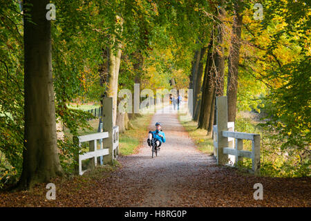 Man riding recumbent bicycle and people walking on path in autumn in wood of estate Boekesteyn, 's Graveland, Netherlands Stock Photo