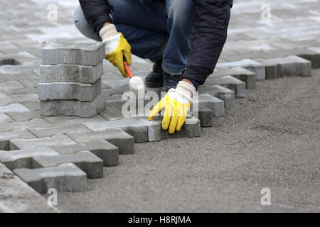 Paving stone worker is putting down pavers during a construction of a city street. Stock Photo