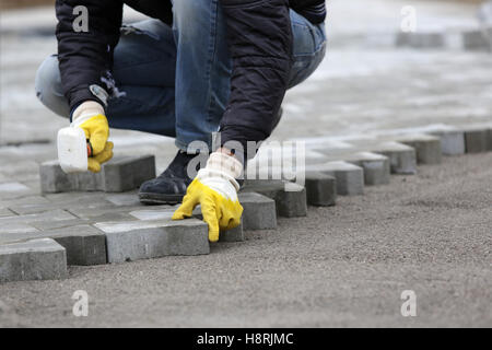 Paving stone worker is putting down pavers during a construction of a city street. Stock Photo