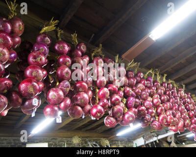Onions hanging from the ceiling at a restaurant in Potes, Picos de Europa, Cantabria, Spain, Europe Stock Photo