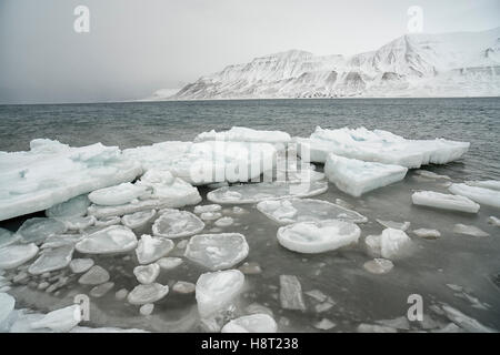 Sea ice forming on Adventfjorden Seeeis im Adventfjorden bei Longyearbyen, Svalbard, Spitsbergen Stock Photo