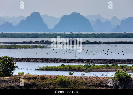 pearl farm at Halong Bay, Vietnam, Indochina, Asia Stock Photo