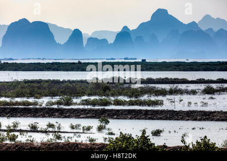 pearl farm at Halong Bay, Vietnam, Indochina, Asia Stock Photo