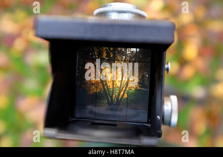 view through the viewfinder of a twin lens reflex camera Stock Photo
