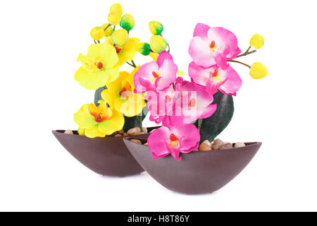 Yellow and pink artificial orchids in vase isolated on white background. Stock Photo