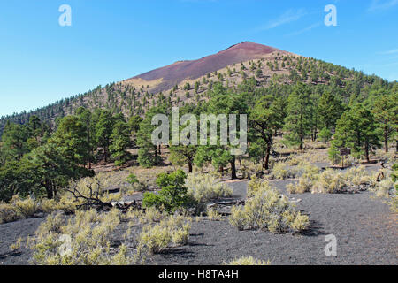 Slope of the cinder cone at Sunset Crater Volcano National Monument north of Flagstaff, Arizona Stock Photo