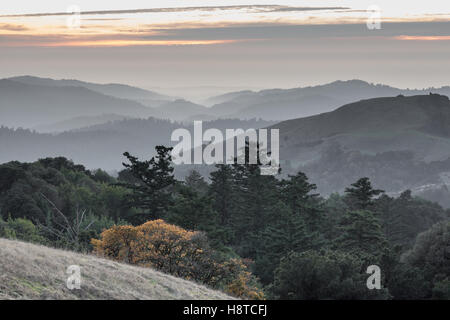 Russian Ridge Santa Cruz Mountains Rolling Hills Sunset Stock Photo