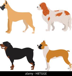 Dogs flat set. Rottweiler and spaniel, young dog vector illustration Stock Vector