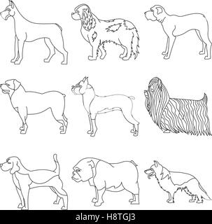 Set of purebred dogs in linear style. Beagle and boxer, bulldog and great dane, vector illustration Stock Vector