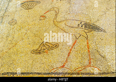 The mosaic floor of the Multiplication Church, with the restored ancient mosaics of the birds and plants Stock Photo