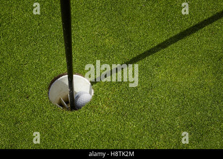 Golf ball inside a cup on a golf course. Putting a green with flag. Stock Photo