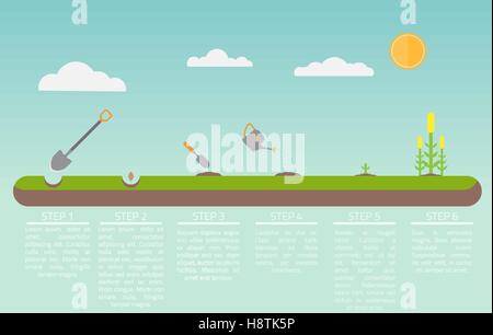 Flat illustration how to growth a plant. Digging, seedling, watering and growth steps. Stock Vector