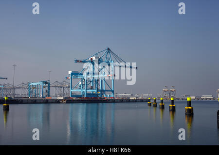 Row of large harbor cranes in the rotterdam harbor. The Netherlands Stock Photo