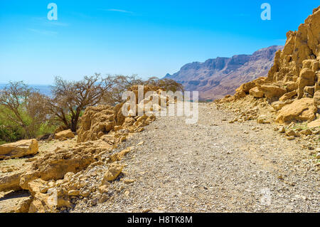 The wide road in mountains of Judean Desert was paved for the vehicular connection among the objects of Ein Gedi Nature Reserve, Stock Photo