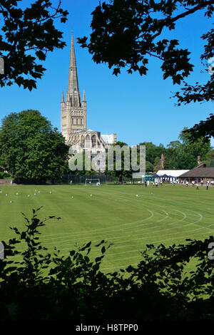 Spire of Norwich Cathedral seen through trees with the playing field of Norwich Lower School in the foreground. Stock Photo