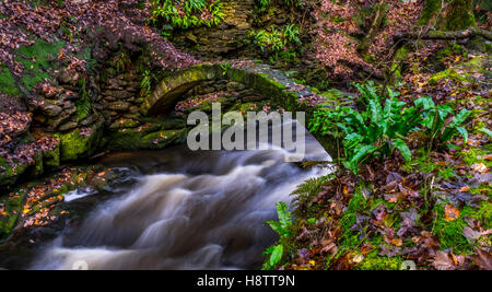 A river running under a very narrow stone footbridge with the water blurred with plenty of greenery and the river banks. Stock Photo