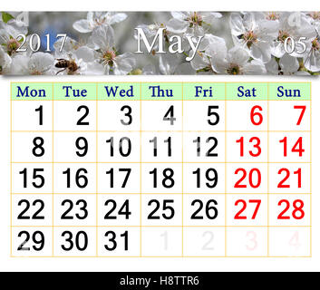 calendar for May 2017 with white blooming cherry tree Stock Photo