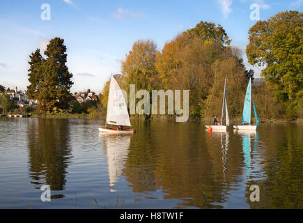 Sailing dinghies from Twickenham Yacht Club, racing on the river Thames, London, England, UK Stock Photo