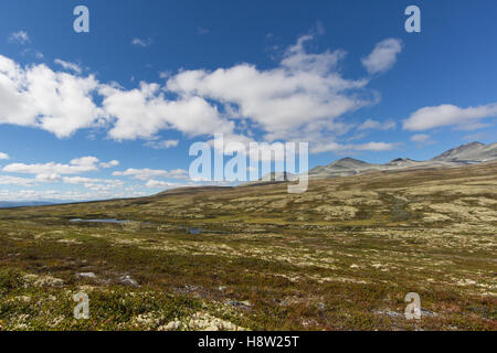 Mountains in Rondane national park norway Stock Photo