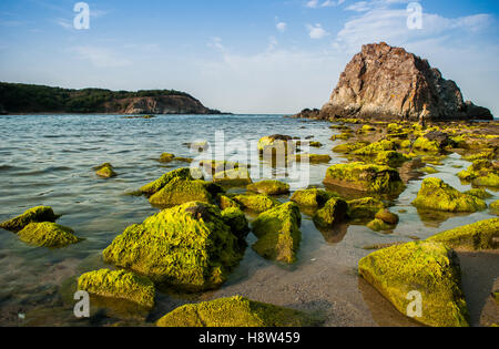 Algae covered rocks on Bulgaria's Black Sea coast Stock Photo