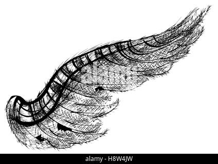 black wing isolated on the white background Stock Vector