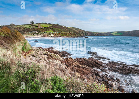 Reddish-purple mudstones & green-grey siltstones of the Lower Devonian Whitsand Bay Formation outcrop on Wembury Beach, Devon Stock Photo