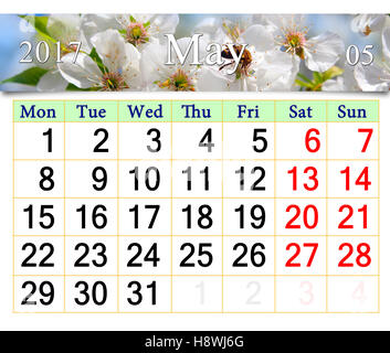 calendar for May 2017 with white blooming cherry tree Stock Photo