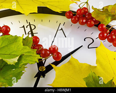 Fall back, winter time. Clock face with viburnum and leaves. Stock Photo