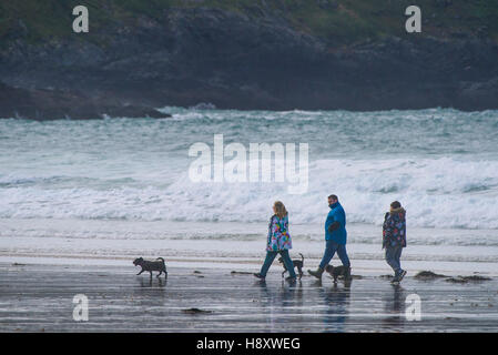A family walk their dogs on Fistral Beach in Newquay, Cornwall. Stock Photo
